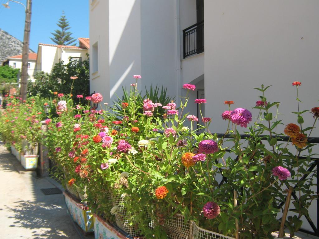 Friderica House 호텔 포로스 객실 사진